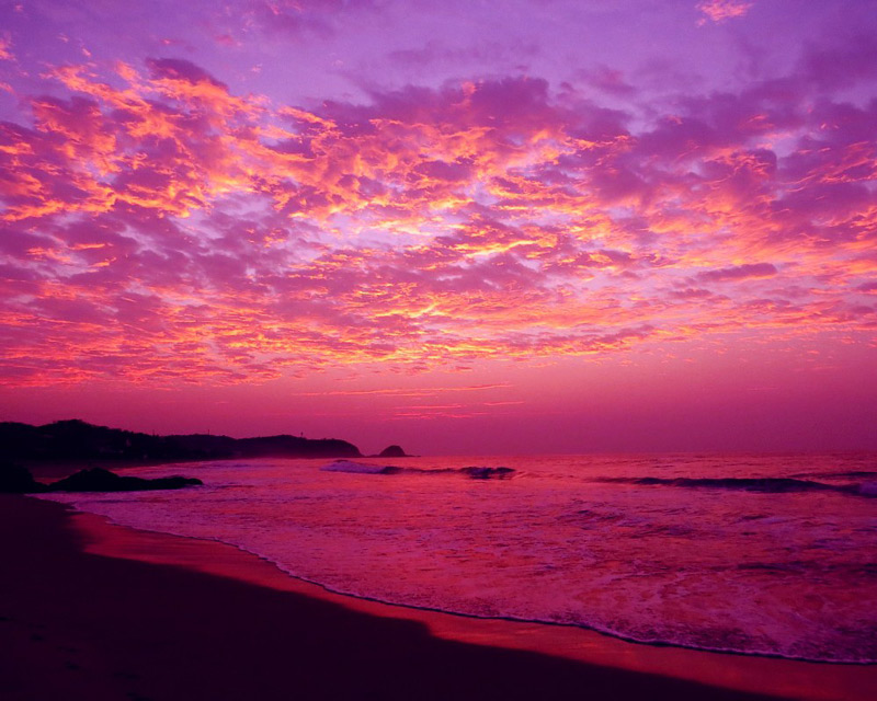 Sunset puuple pink skies