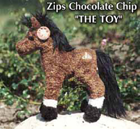 Zips Chocolate Chip with young rider