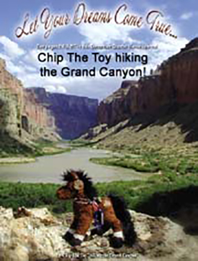 toy at grand canyon