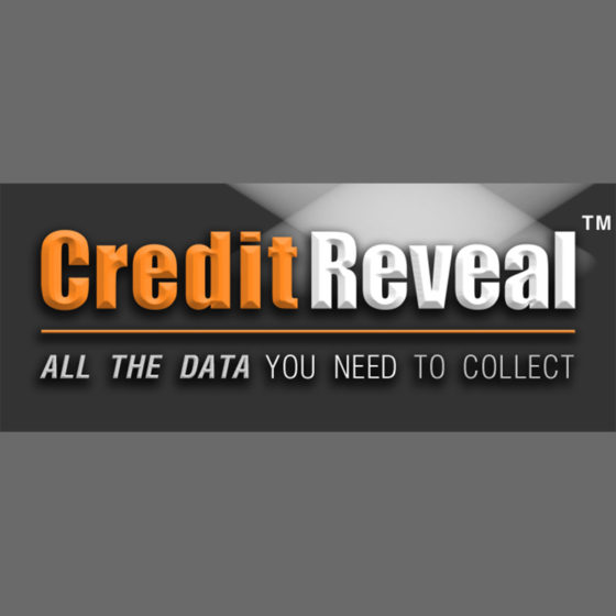 Credit Reveal | All the Data You Need to Collect